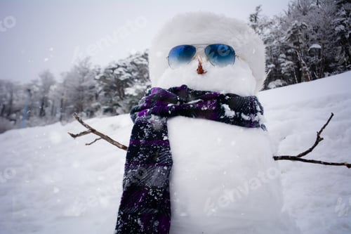 Preview: Cute Snowman With A Cap And A Scarf In Winter Landscape.