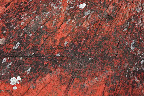 Preview: Red Painted Wood Texture Background