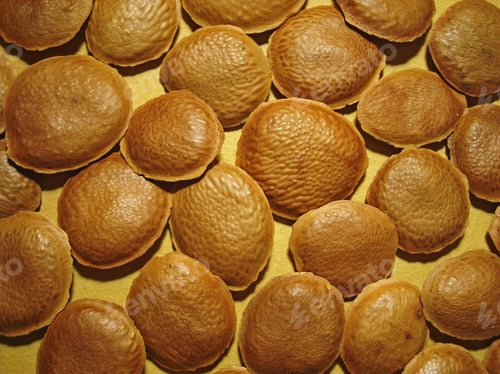 Preview: Sucupira Seeds On Yellow Background