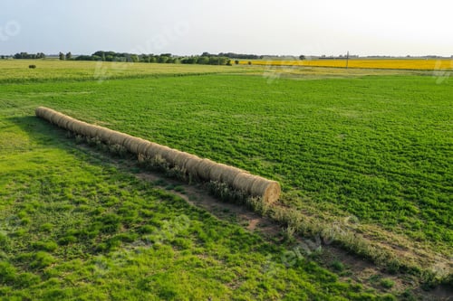 Preview: Bale Of Grass In The Countryside, Buenos Aires Province, Argenti