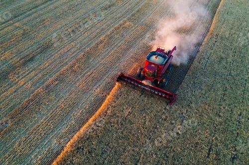 Preview: Barley Harvest Aerial View, In La Pampa, Argentina.