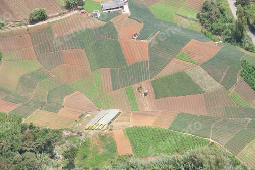 Preview: Agricultural Crops In Antioquia, Colombia