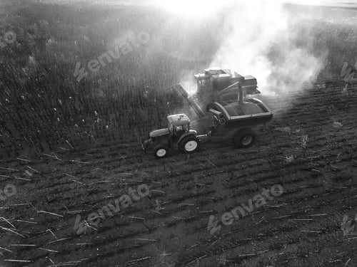 Preview: Harvest In Argentine Countryside, La Pampa, Argentina