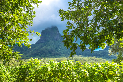 Preview: Moorea Island In The French Polynesia.