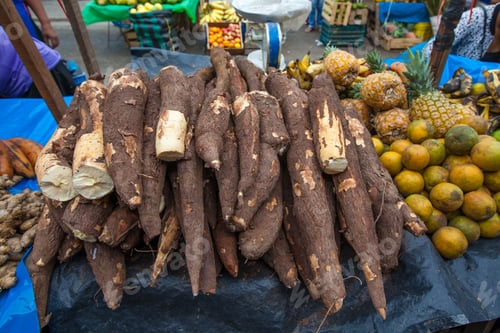 Preview: Fresh Yuccas, Oranges And Pineapples Ready To Sell In The Market