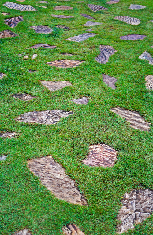 Preview: Background With Stones And Grass