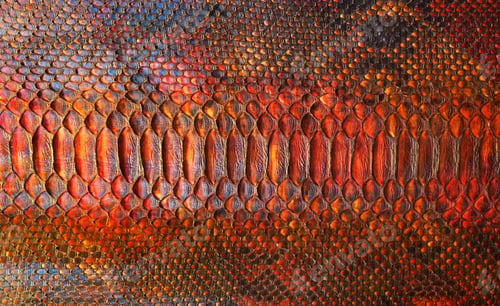 Preview: Painted Snake Skin Texture Background