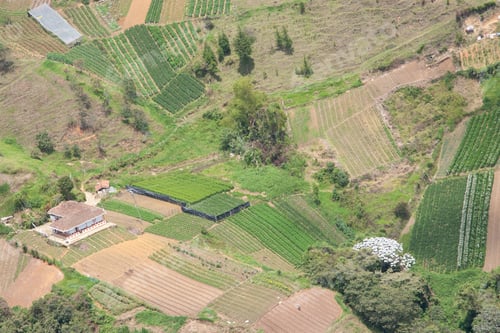 Preview: Agricultural Crops In Antioquia, Colombia