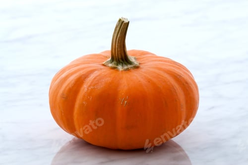 Preview: Beautiful Organic Pumpkin Or Summer Squash On Carrara Marble Countertop