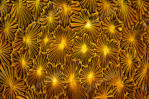 Preview: Yellow Textured Glass Surface Background