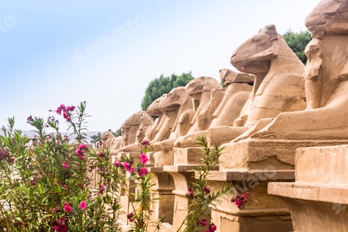 Preview: Luxor Temple, Karnak, Egypt. Africa.