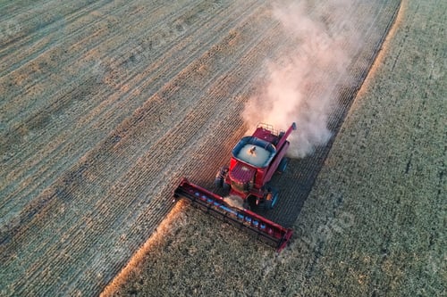 Preview: Barley Harvest Aerial View, La Pampa Province, Patagonia, Argentina.