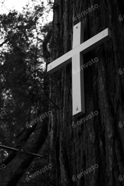 Preview: A Vertical Greyscale Shot Of A White Cross On A Tree With A Blurred Background
