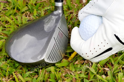 Preview: Hand With Glove Holding A Golf Ball
