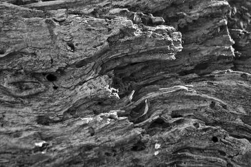 Preview: A Close Shot Of Mountain Rocks In Black And White