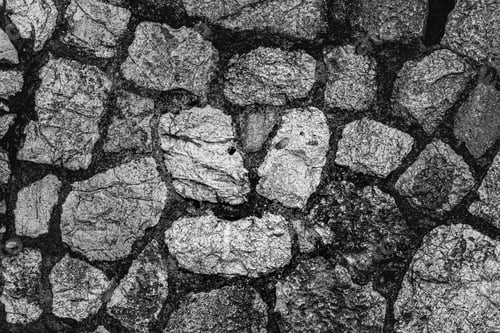 Preview: A Greyscale Closeup Of Tree Bark With Engravings Under Sunlight
