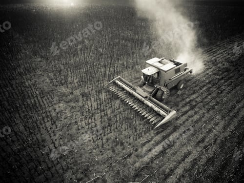 Preview: Sunflower Harvest,Pampas, Patagonia, Argentina