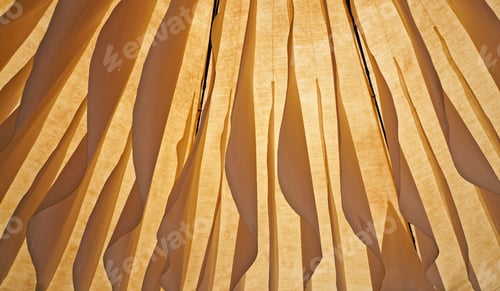 Preview: Sun Umbrella Seen From Below, Background