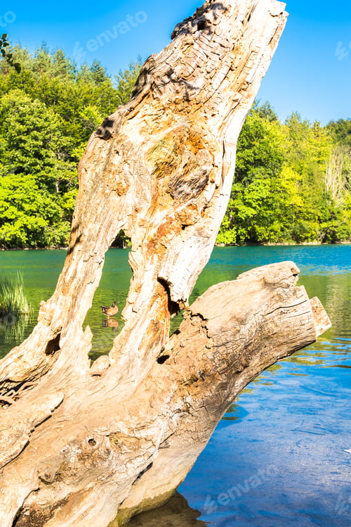 Preview: Plitvice Lakes, Croatia Waterfall. Amazing Place.