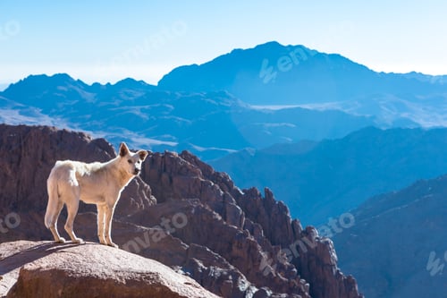 Preview: Mount Sinai, Mount Moses In Egypt. Africa.