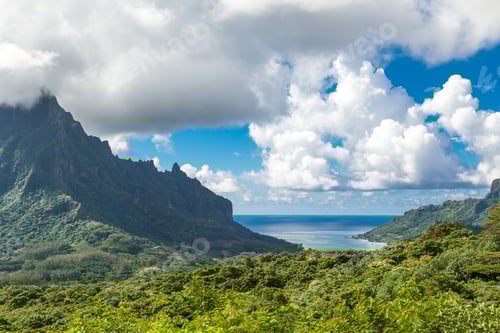 Preview: Moorea Island In The French Polynesia.