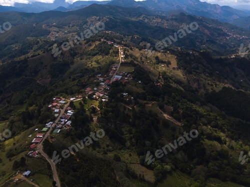 Preview: Impressive Aerial Bird View Of The Forest