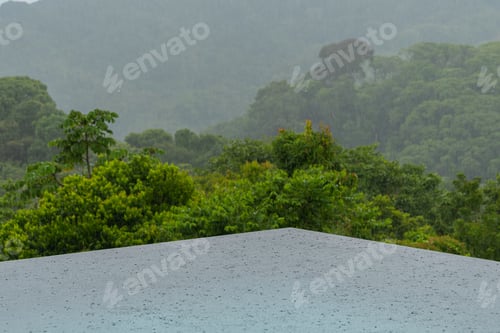 Preview: Beautiful View Of A Rainy Day In A Pool With View Of The Rain Forest (Pool Rain)