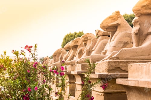 Preview: Luxor Temple, Karnak, Egypt. Africa.