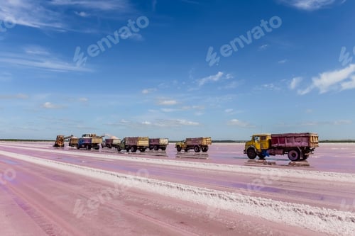 Preview: Harvest Of Mineral Salt In La Pampa, Argentina