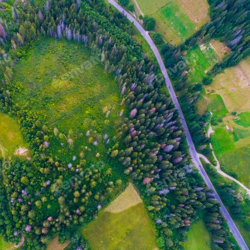 Preview: Forests, Meadows And Hills Of The Carpathian Mountains Taken With Drone, Ukraine