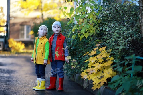 Preview: Children Walk In The Autumn Park In The Fall