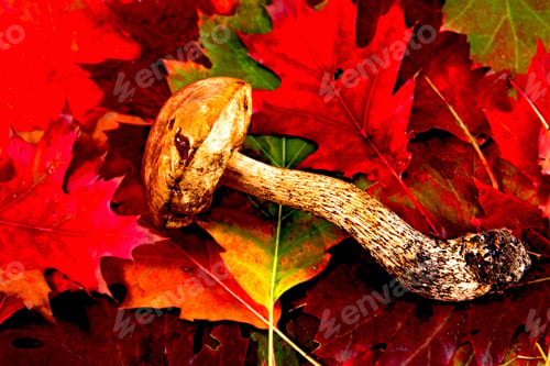 Preview: Autumn Background With Leafes And Mushrooms