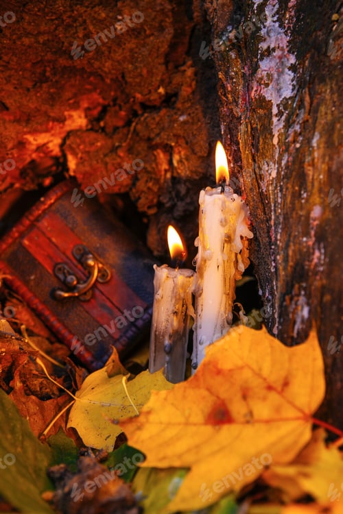 Preview: Beautiful Natural Decor For Autumnal Holiday, Old Dry Maple Leaves, Warm Candle Light
