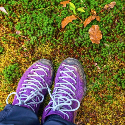 Preview: Violet Trekking Shoes On The Nature. Nepal