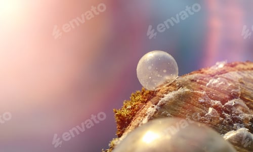Preview: Soap Bubbles Freeze In The Cold. Winter Soapy Water Freezes In Air.
