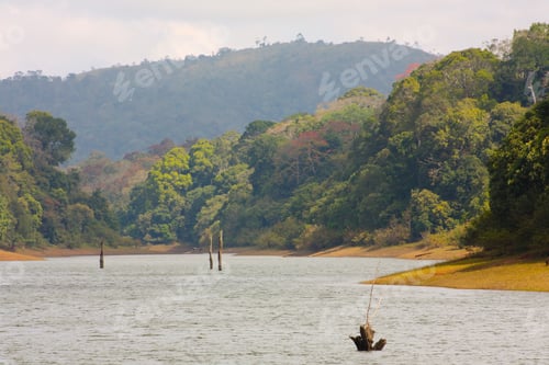 Preview: Lake, Periyar National Park, Kerala, India