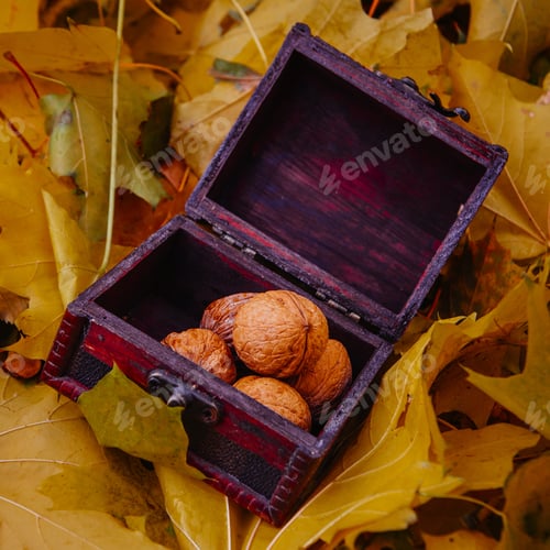 Preview: Autumn Border From Walnuts And Maple Leaves On Wood