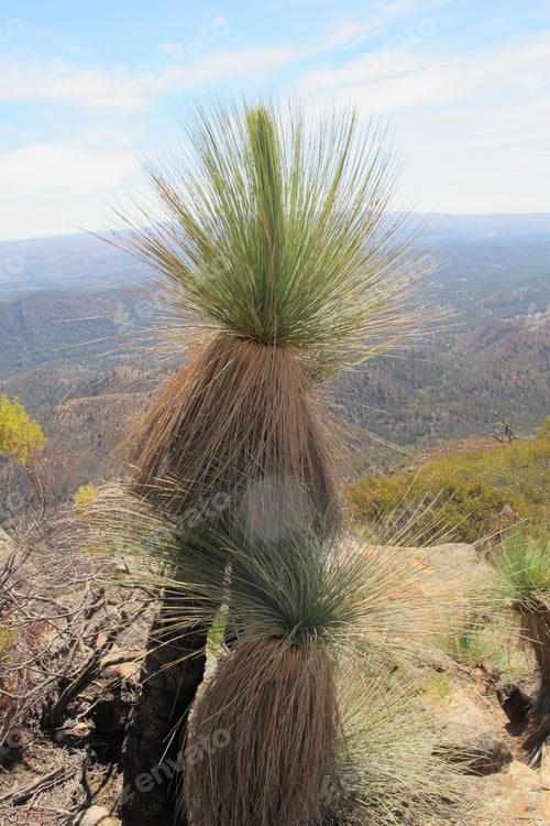 Preview: Flinders Ranges, South Australia