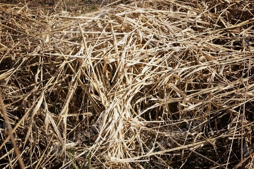 Preview: Hay Background