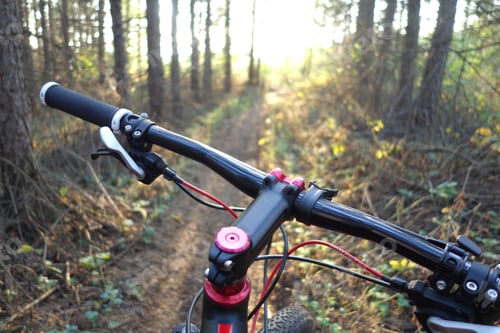 Preview: Mountain Bike View Of The Steering Wheel. Forest Trail.