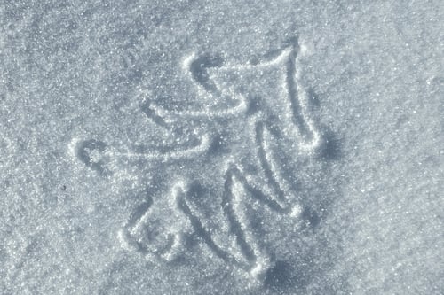 Preview: Hand Christmas Tree Drawing On Snow