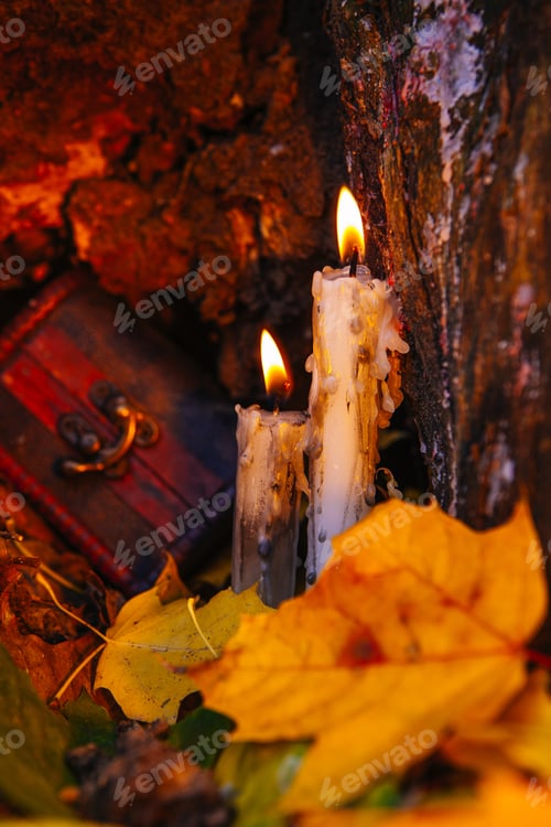 Preview: Beautiful Natural Decor For Autumnal Holiday, Old Dry Maple Leaves, Warm Candle Light