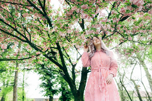 Preview: Beautiful Young Woman Enjoying Sunny Day In Park During Cherry Blossom Season