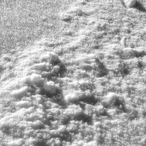 Preview: Fresh Snow Background