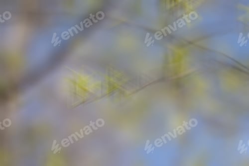 Preview: Background Concept Spring Buds Of Green Trees