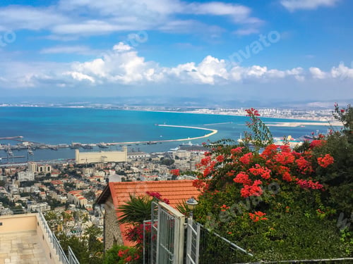 Preview: View Of Haifa From The Hill, Israel