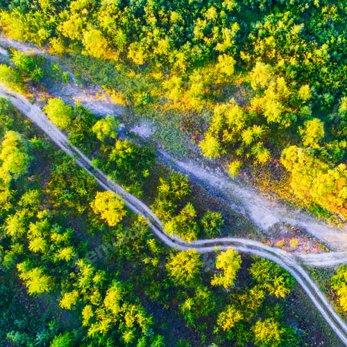Preview: Forest And Road Taken From Drone, Ukraine
