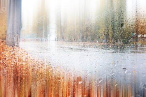 Preview: Background Autumn Rain In The Park During The Day