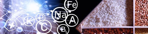 Preview: A Set Of Grain Cereals. Rice, Buckwheat And Millet Groats In Wooden Tray. A Grocery Set Of Cereals