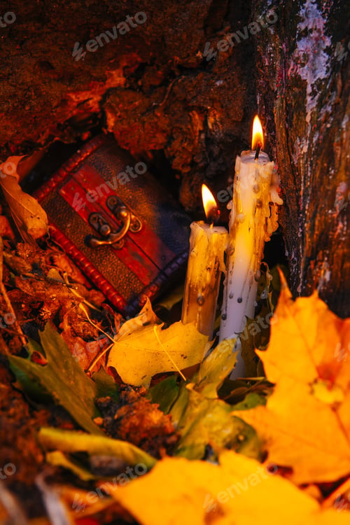 Preview: Beautiful Natural Decor For Autumnal Holiday, Old Dry Maple Leaves, Warm Candle Light
